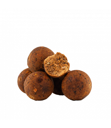 KULKI HAKOWE KING SQUID